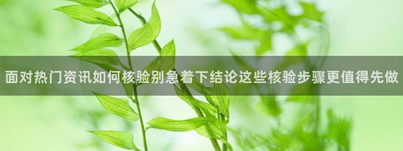91吃瓜最新事件:面对热门资讯如何核验别急着下结论这些核验步骤更值得先做