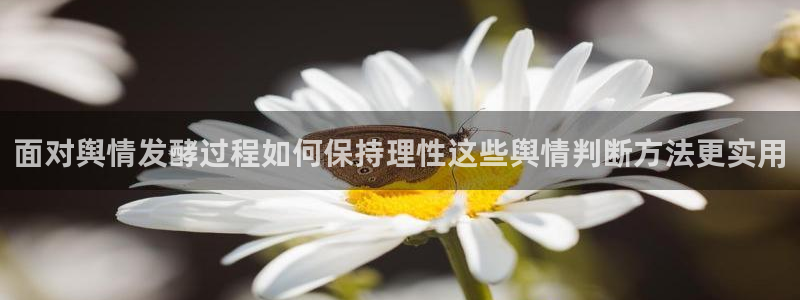 91吃瓜搜索:面对舆情发酵过程如何保持理性这些舆情判断方法更实用