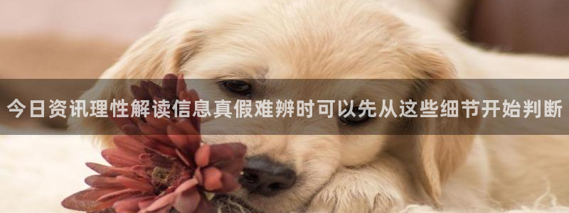 91吃瓜在线入口：今日资讯理性解读信息真假难辨时可以先从这些细节开始判断