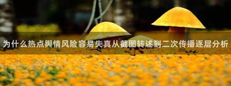 91吃瓜热点话题